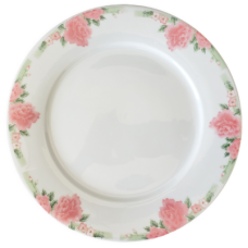 10" Plate