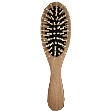 9" Hair Brush with Wooden Handle